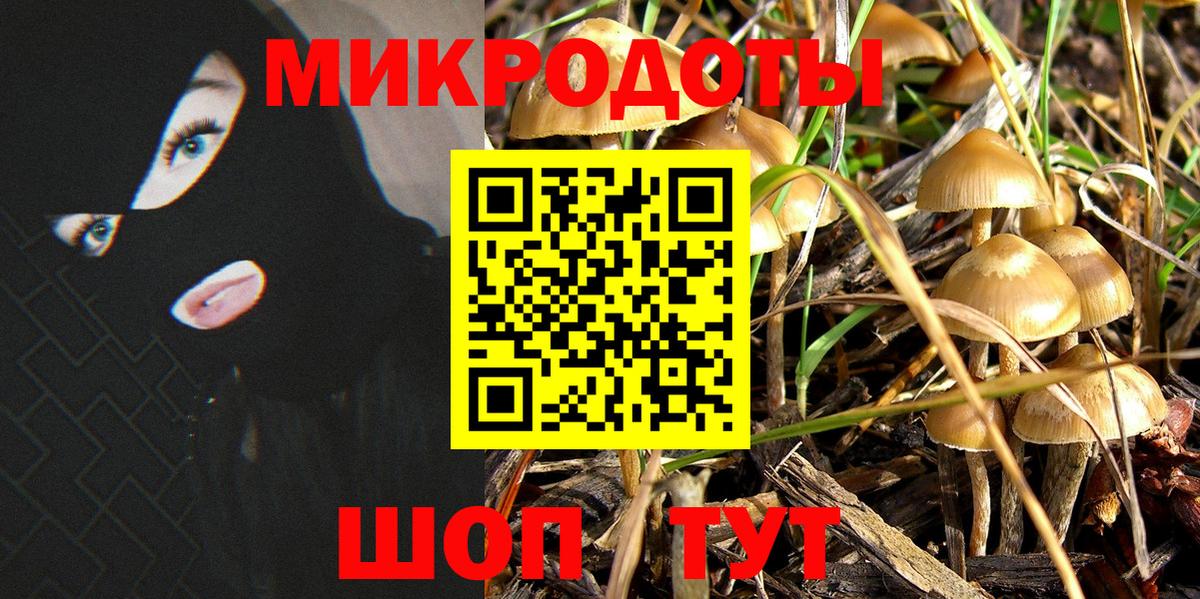 Псилоцибиновые грибы прущие грибы Аксай