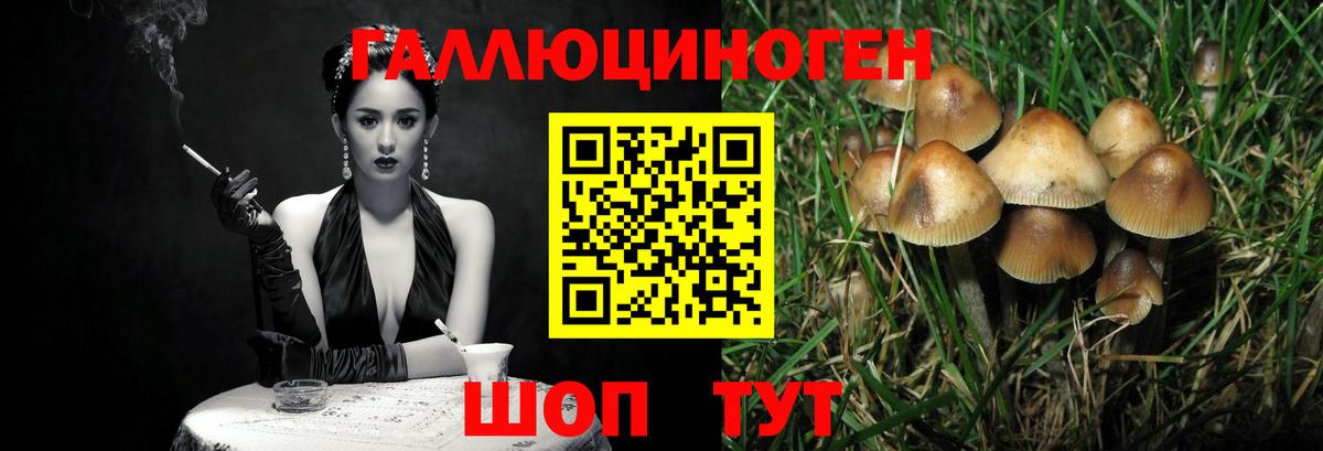 Галлюциногенные грибы Magic Shrooms  Вход с VPN  Аксай 